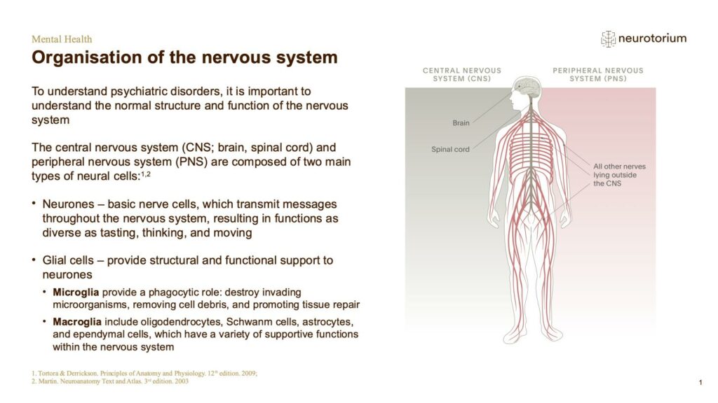 Mental Health - Fundamentals of Neurobiology - slide 3